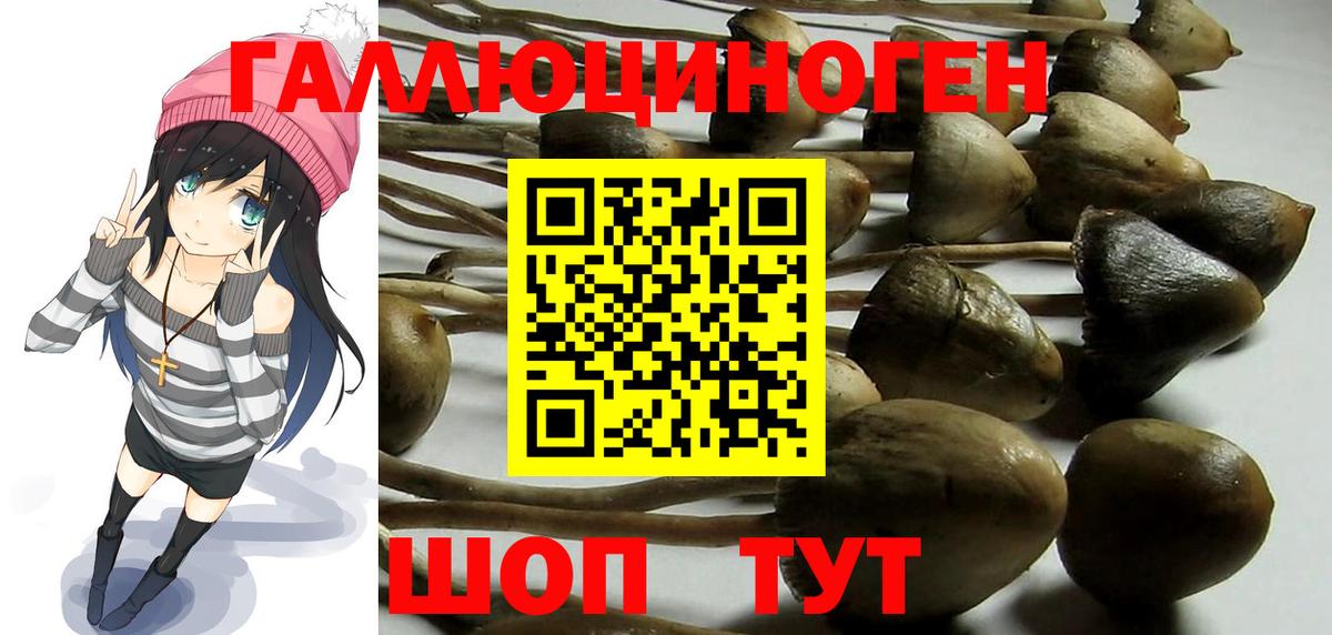 Псилоцибиновые грибы Magic Shrooms  Вход с VPN  Нефтекумск 