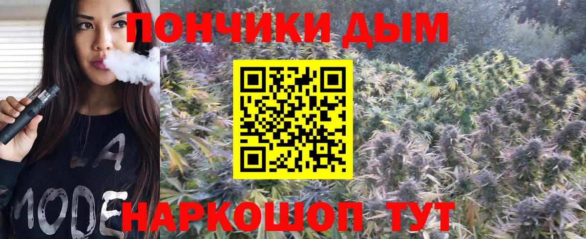 МАРИХУАНА индика  Шишки марихуана Bruce Banner  Вход с VPN  МАРИХУАНА индика  Нефтекумск  МАРИХУАНА OG Kush 